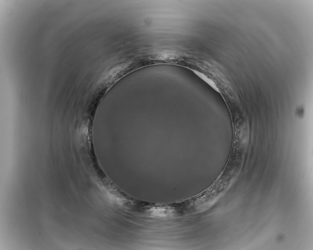 X0000099500415200805221405