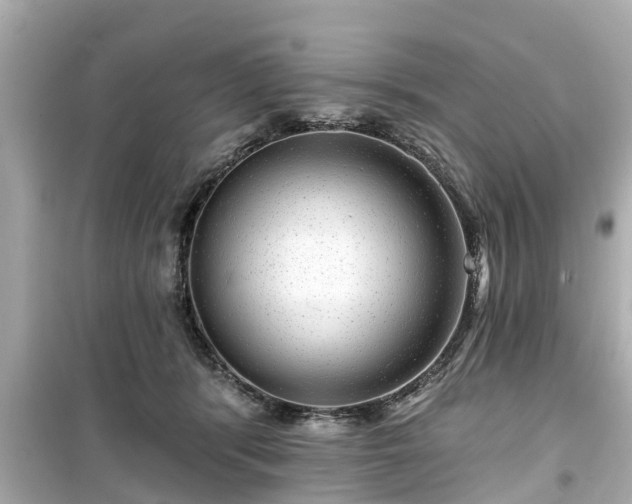 X0000099500416200805221405