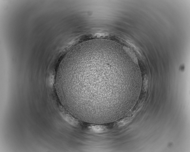 X0000099500417200805221405
