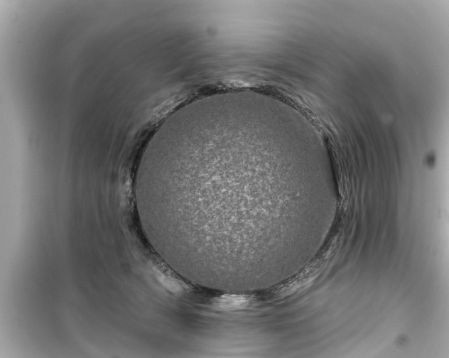 X0000099500418200805221405