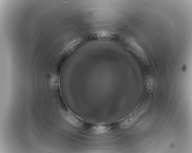 X0000099500419200805221405