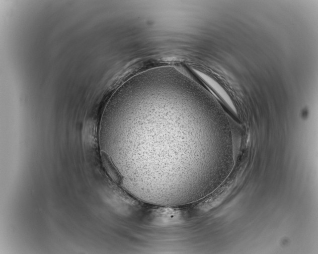 X0000099500421200805221405