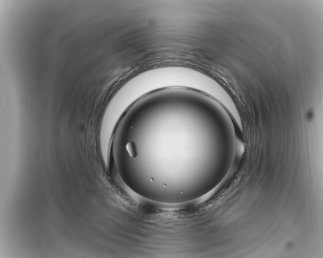 X0000099500423200805221405