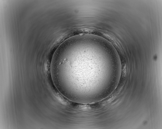 X0000099500424200805221405