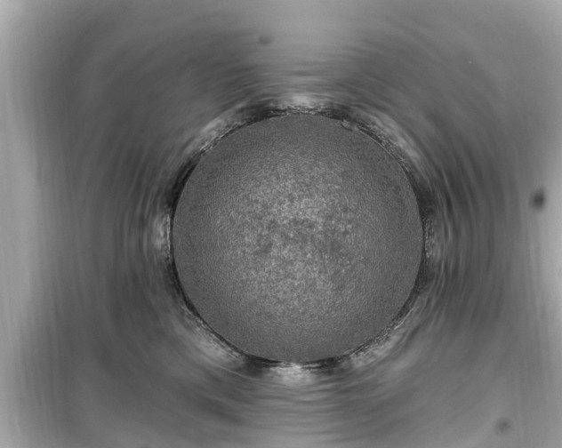X0000099500425200805221405