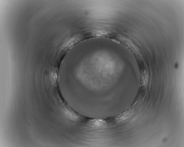 X0000099500427200805221405