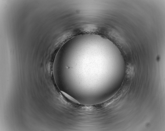 X0000099500428200805221405