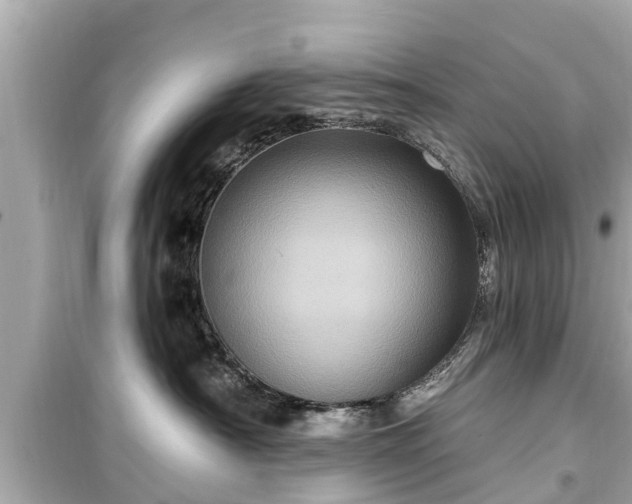 X0000099500430200805221404