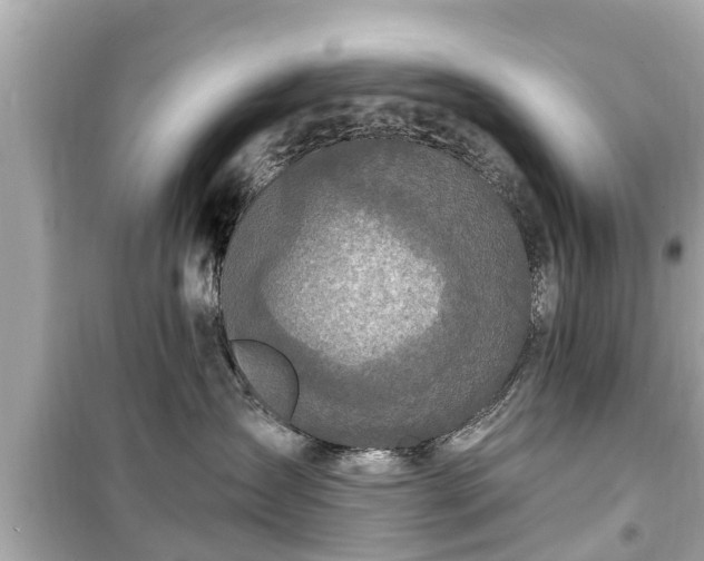 X0000099500431200805221404