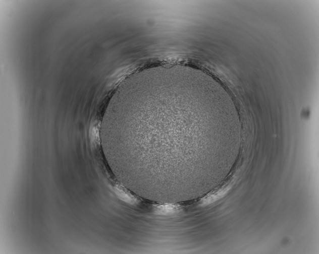 X0000099500432200805221404