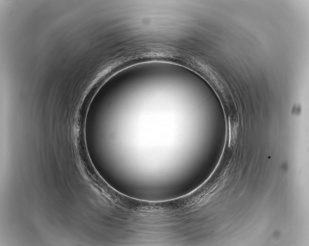 X0000099500435200805221404