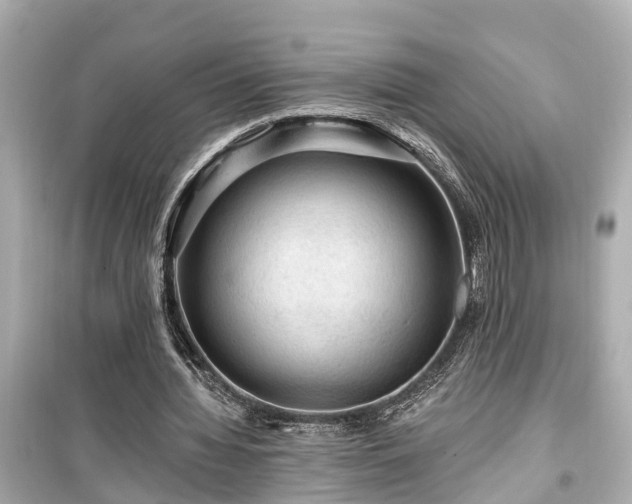 X0000099500436200805221404