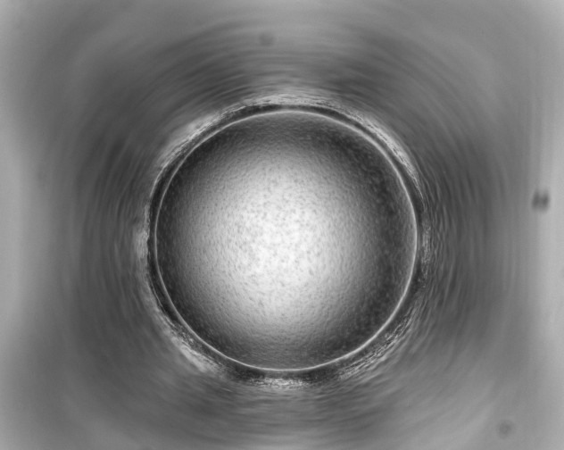 X0000099500437200805221404