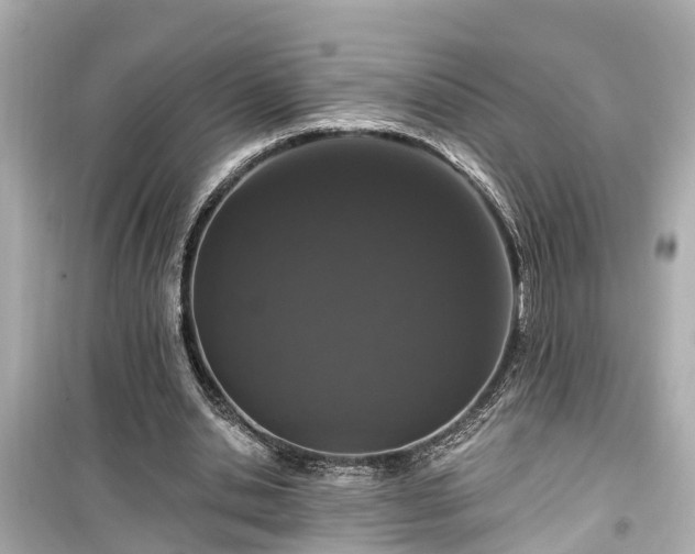 X0000099500438200805221404