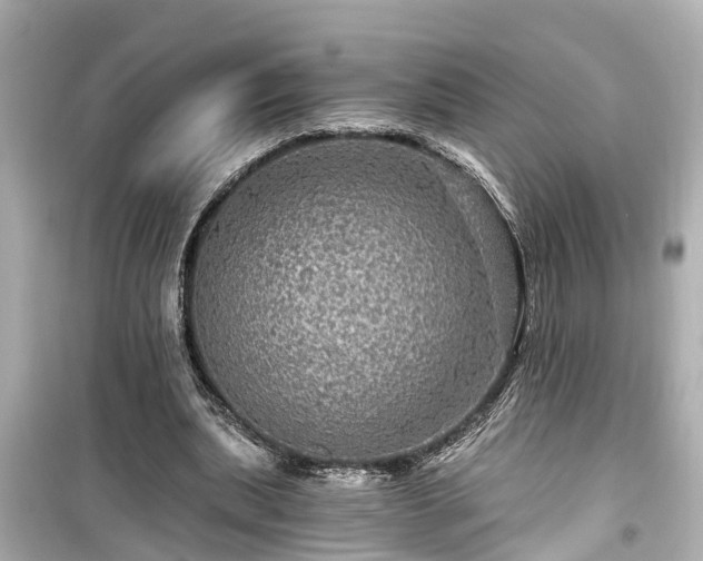 X0000099500439200805221404