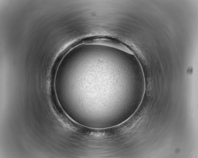 X0000099500440200805221404