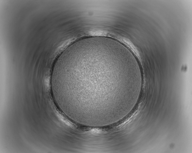 X0000099500441200805221404