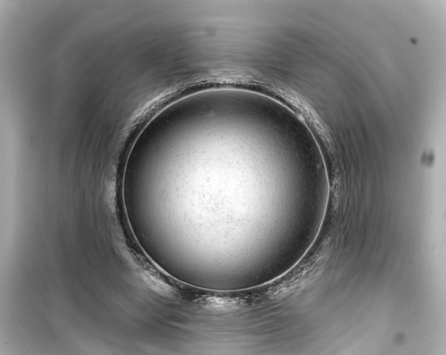 X0000099500442200805221404