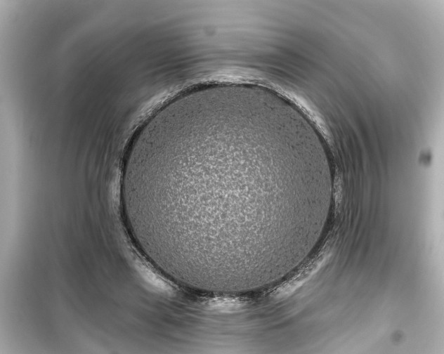 X0000099500445200805221404