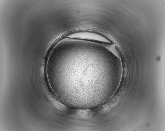 X0000099500446200805221404