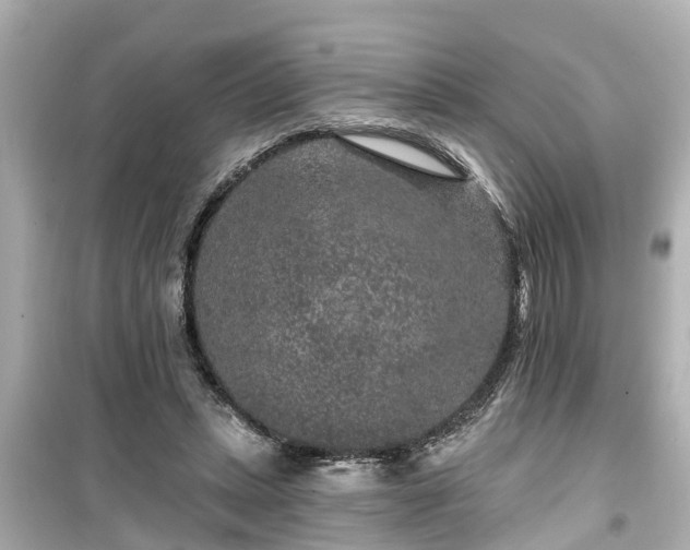 X0000099500447200805221404
