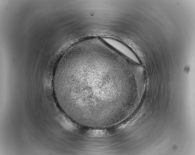 X0000099500449200805221404