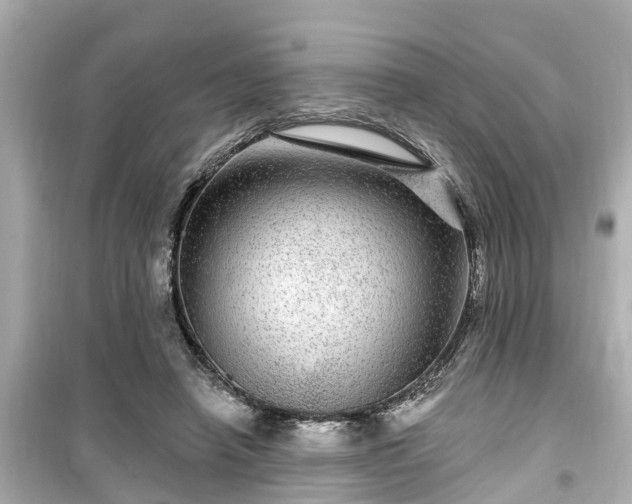 X0000099500450200805221404