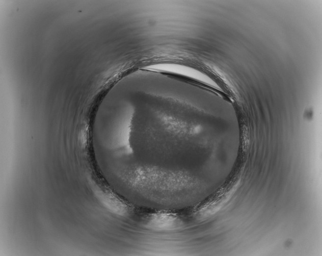 X0000099500451200805221404