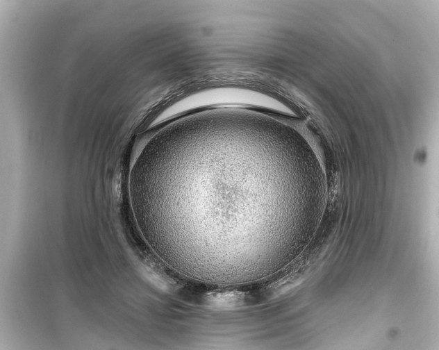 X0000099500452200805221404