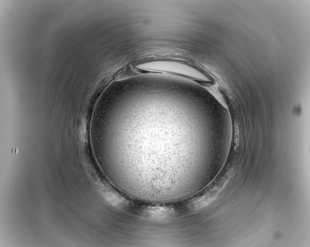X0000099500453200805221404