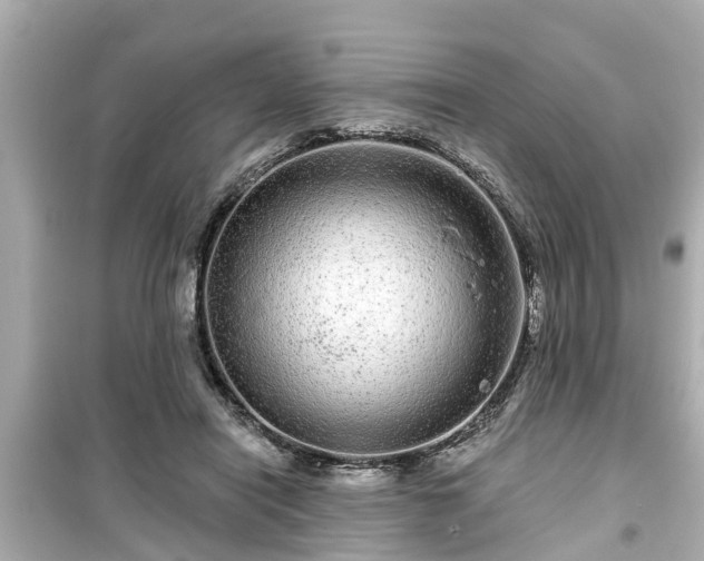 X0000099500454200805221404