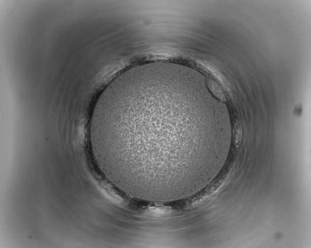 X0000099500455200805221404