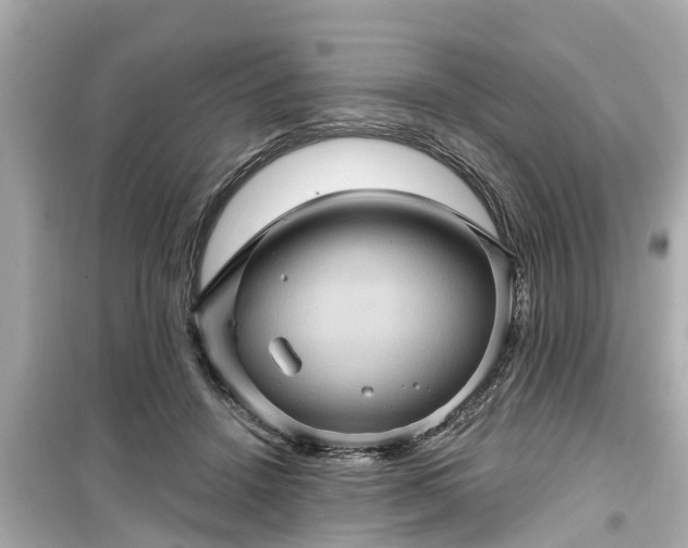 X0000099500456200805221404
