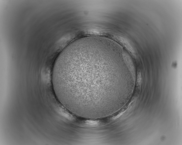 X0000099500457200805221404