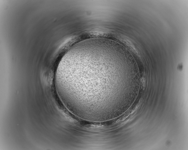 X0000099500458200805221404