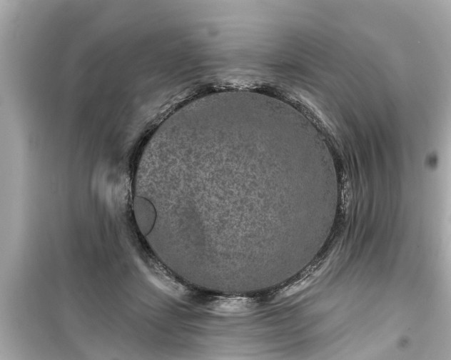X0000099500459200805221404