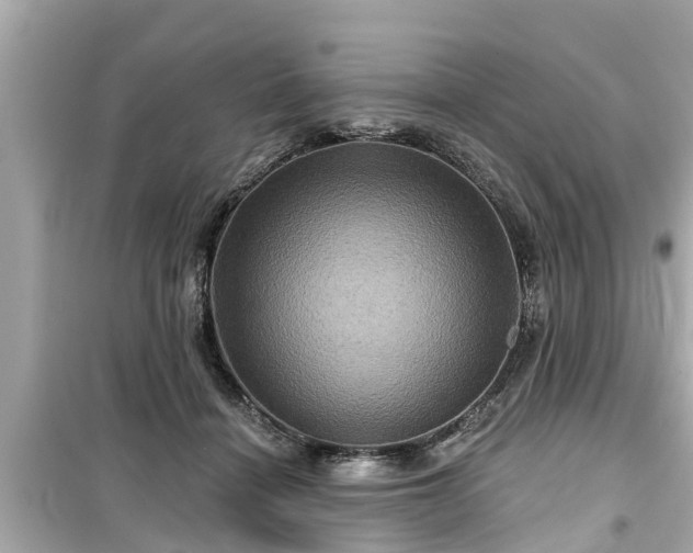 X0000099500460200805221404