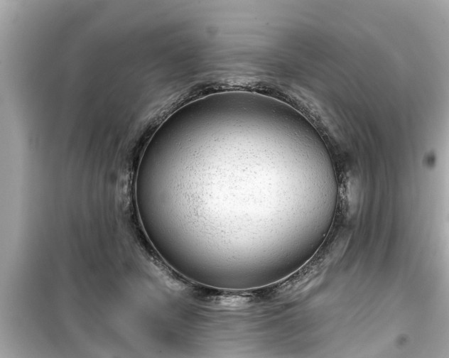 X0000099500462200805221404
