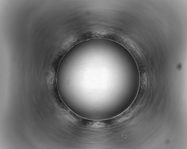 X0000099500463200805221404