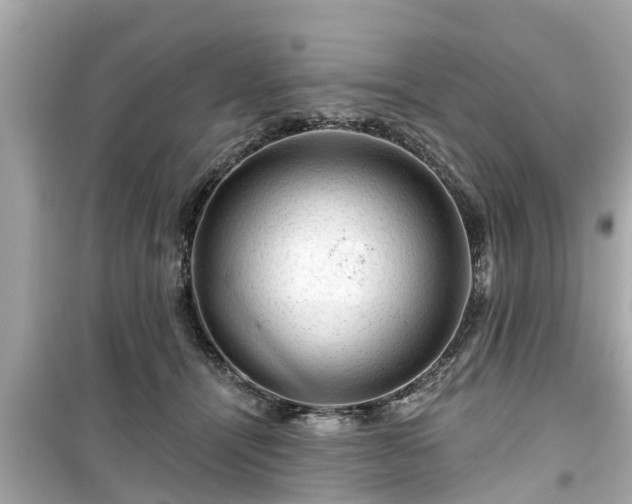 X0000099500464200805221404