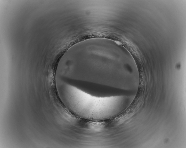 X0000099500465200805221404