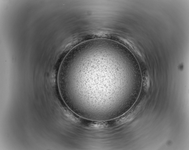 X0000099500466200805221404