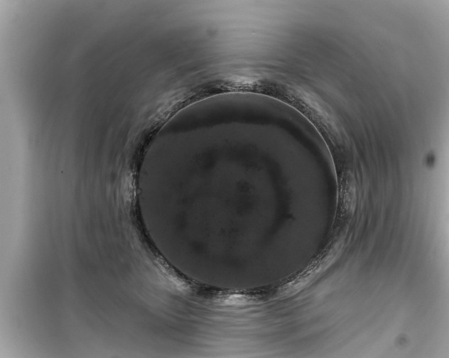 X0000099500467200805221404
