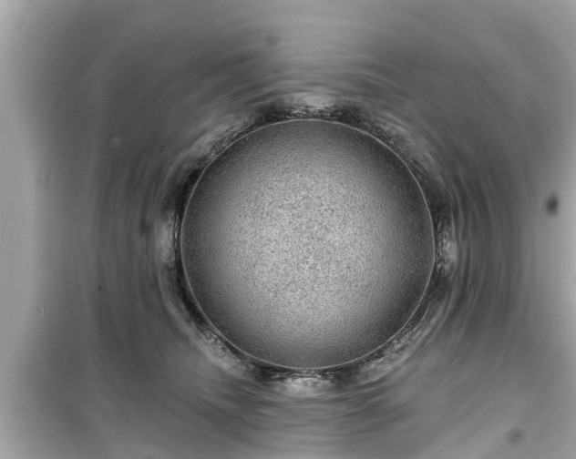 X0000099500468200805221404
