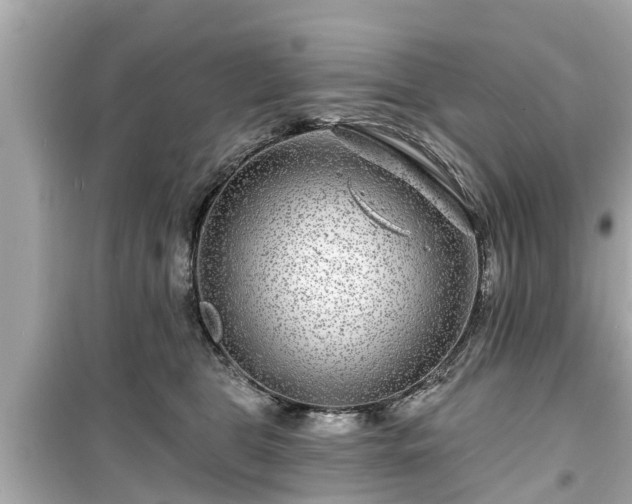 X0000099500469200805221404