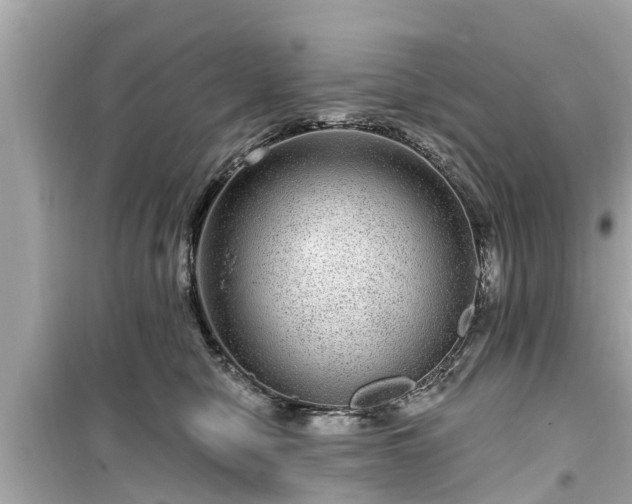 X0000099500470200805221404