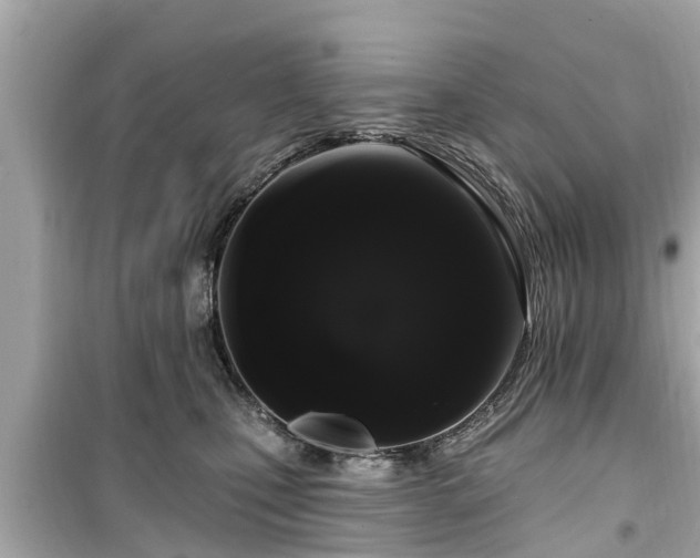 X0000099500471200805221404
