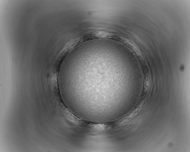 X0000099500473200805221404