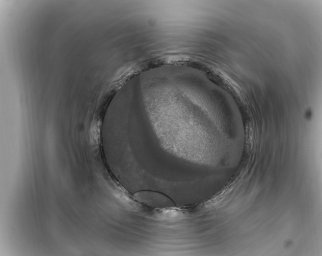 X0000099500475200805221404