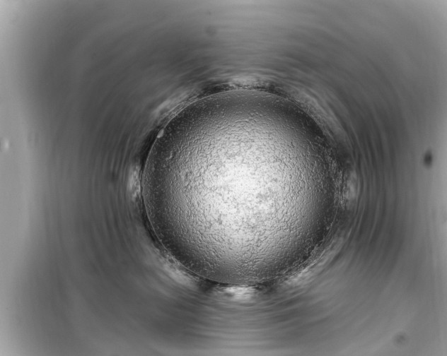 X0000099500478200805221404